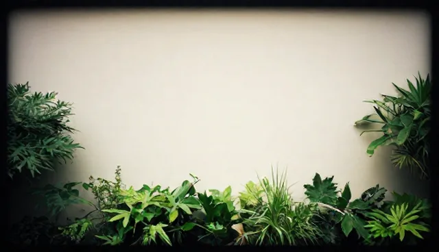 农作物种植服务如何应对土壤退化问题